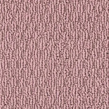 Preview: Vorwerk Constance 1Q12 rosa – Draufsicht ohne Preisangabe